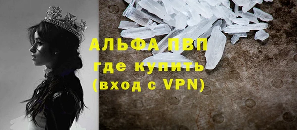 ГАЛЛЮЦИНОГЕННЫЕ ГРИБЫ Михайловка