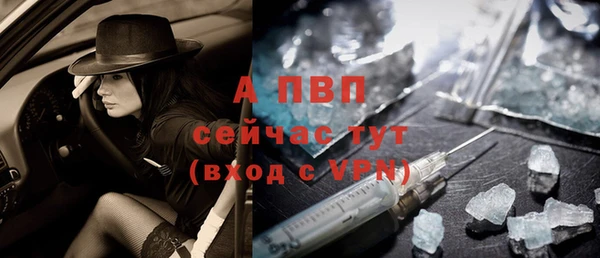сатива Михайловск