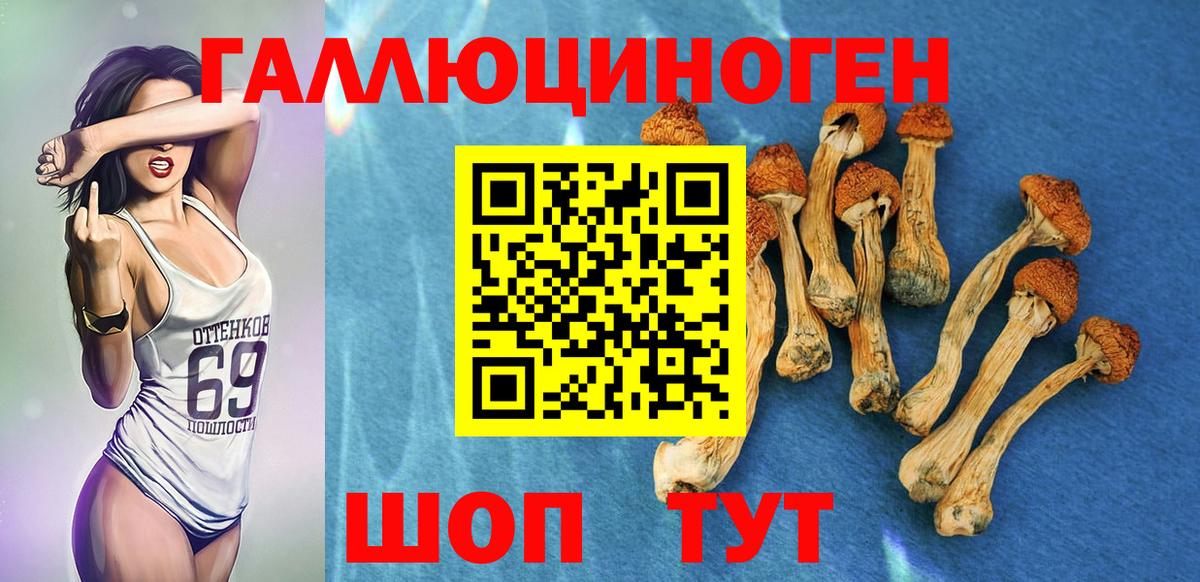 наркота  Галлюциногенные грибы Psilocybe  Вход с VPN  Нарьян-Мар  Псилоцибиновые грибы ЛСД 